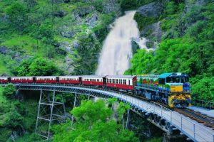 Full-Day Tour with Kuranda Scenic Railway Skyrail Rainforest Cableway and Hartley's Crocodile Adventures from Cairns - Accommodation Cooktown