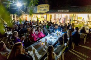 Miles Back to the Bush Festival - Accommodation Cooktown